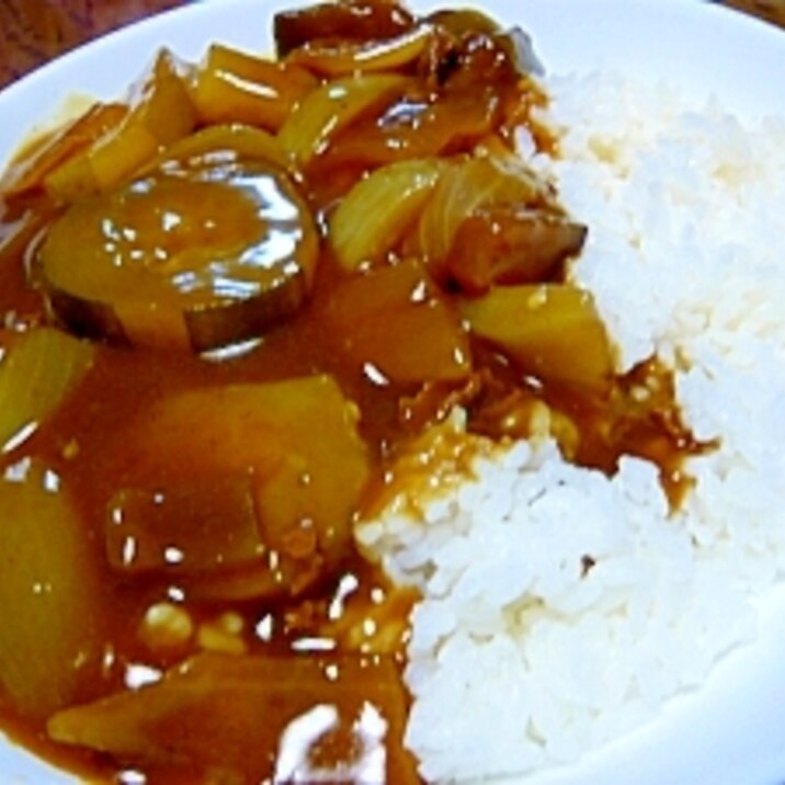 おばけきゅうりと茄子カレー